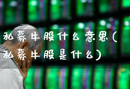 私募牛股什么意思(私募牛股是什么)_https://www.syklpowerbike.com_北交所_第1张