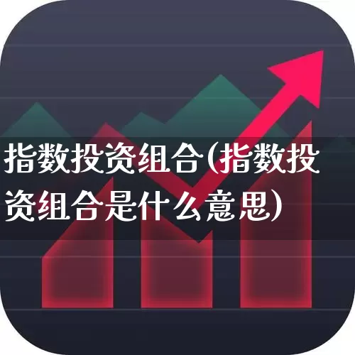 指数投资组合(指数投资组合是什么意思)_https://www.syklpowerbike.com_创业板_第1张