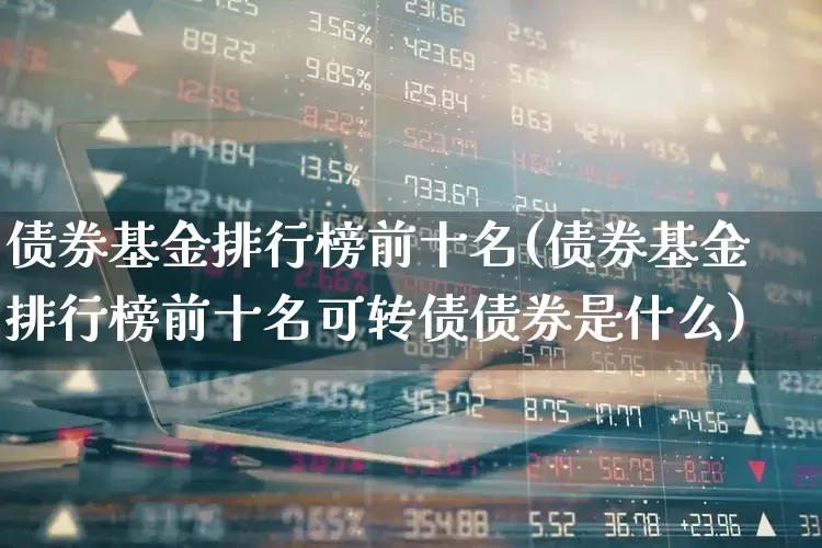 债券基金排行榜前十名(债券基金排行榜前十名可转债债券是什么)_https://www.syklpowerbike.com_创业板_第1张