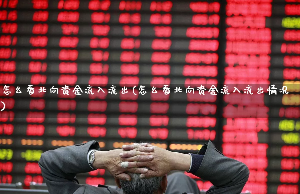 怎么看北向资金流入流出(怎么看北向资金流入流出情况)_https://www.syklpowerbike.com_科创板_第1张