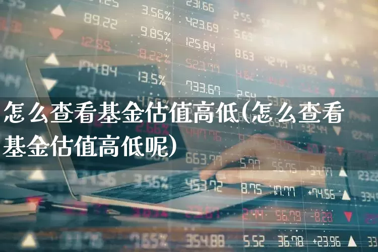 怎么查看基金估值高低(怎么查看基金估值高低呢)_https://www.syklpowerbike.com_北交所_第1张