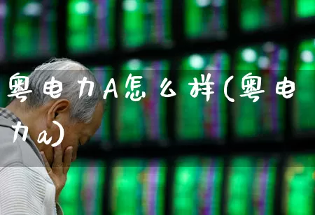 粤电力A怎么样(粤电力a)_https://www.syklpowerbike.com_上交所_第1张
