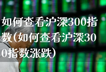 如何查看沪深300指数(如何查看沪深300指数涨跌)_https://www.syklpowerbike.com_北交所_第1张