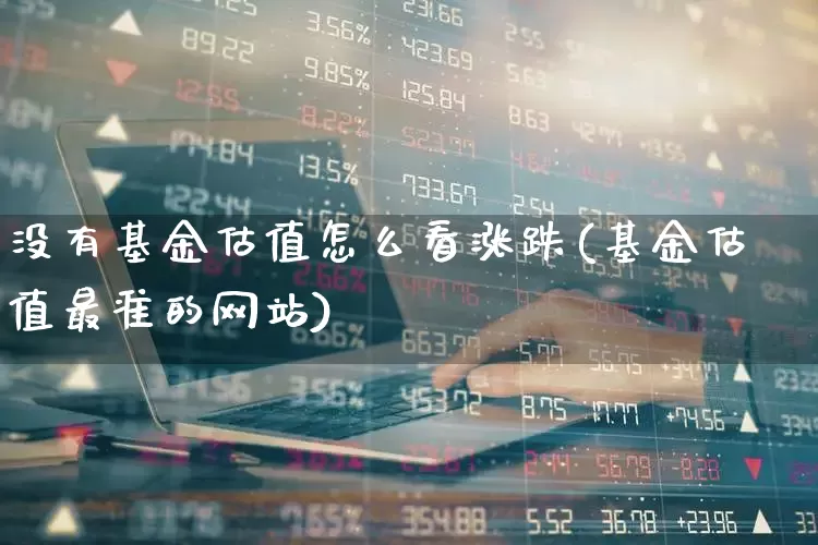 没有基金估值怎么看涨跌(基金估值最准的网站)_https://www.syklpowerbike.com_北交所_第1张