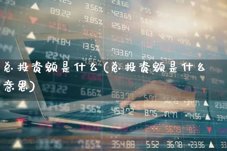 总投资额是什么(总投资额是什么意思)_https://www.syklpowerbike.com_创业板_第1张