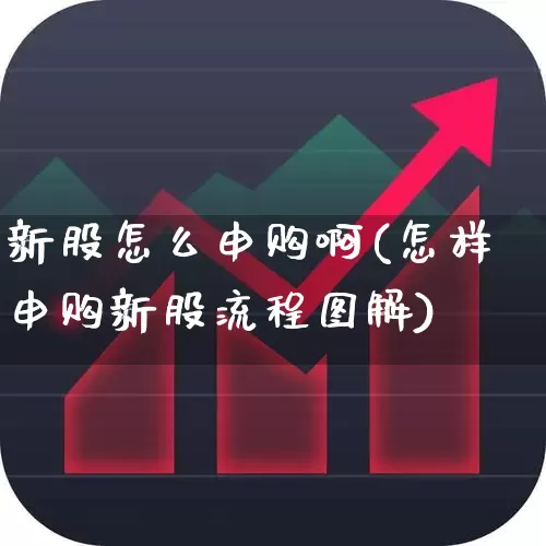 新股怎么申购啊(怎样申购新股流程图解)_https://www.syklpowerbike.com_深交所_第1张