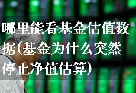 哪里能看基金估值数据(基金为什么突然停止净值估算)_https://www.syklpowerbike.com_北交所_第1张