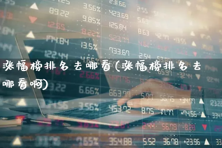 涨幅榜排名去哪看(涨幅榜排名去哪看啊)_https://www.syklpowerbike.com_创业板_第1张
