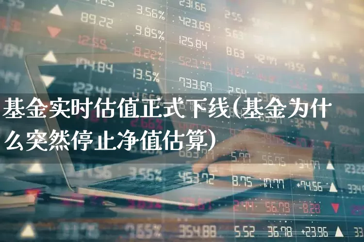 基金实时估值正式下线(基金为什么突然停止净值估算)_https://www.syklpowerbike.com_科创板_第1张