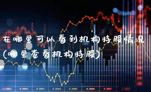 在哪里可以看到机构持股情况(哪里查看机构持股)_https://www.syklpowerbike.com_科创板_第1张