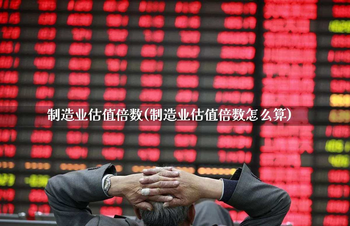 制造业估值倍数(制造业估值倍数怎么算)_https://www.syklpowerbike.com_上交所_第1张