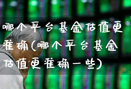 哪个平台基金估值更准确(哪个平台基金估值更准确一些)_https://www.syklpowerbike.com_北交所_第1张
