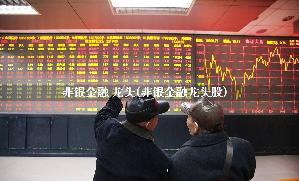 非银金融 龙头(非银金融龙头股)_https://www.syklpowerbike.com_创业板_第1张