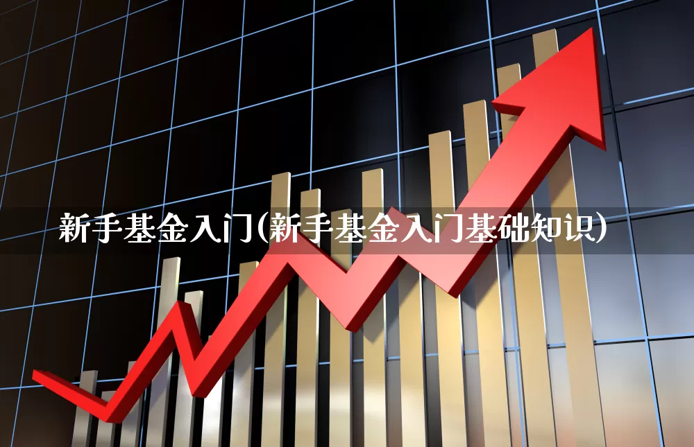 新手基金入门(新手基金入门基础知识)_https://www.syklpowerbike.com_创业板_第1张