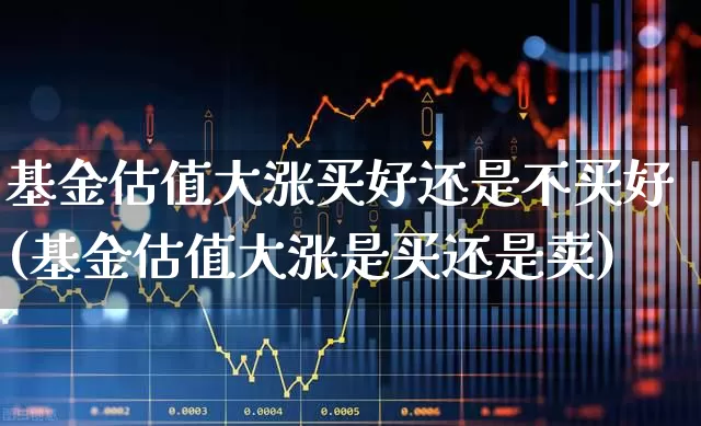 基金估值大涨买好还是不买好(基金估值大涨是买还是卖)_https://www.syklpowerbike.com_深交所_第1张