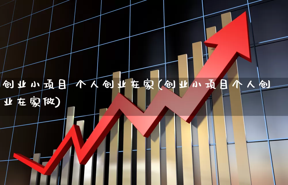 创业小项目 个人创业在家(创业小项目个人创业在家做)_https://www.syklpowerbike.com_深交所_第1张