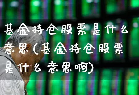 基金持仓股票是什么意思(基金持仓股票是什么意思啊)_https://www.syklpowerbike.com_创业板_第1张
