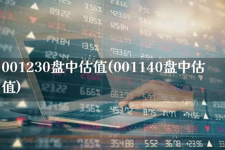001230盘中估值(001140盘中估值)_https://www.syklpowerbike.com_科创板_第1张