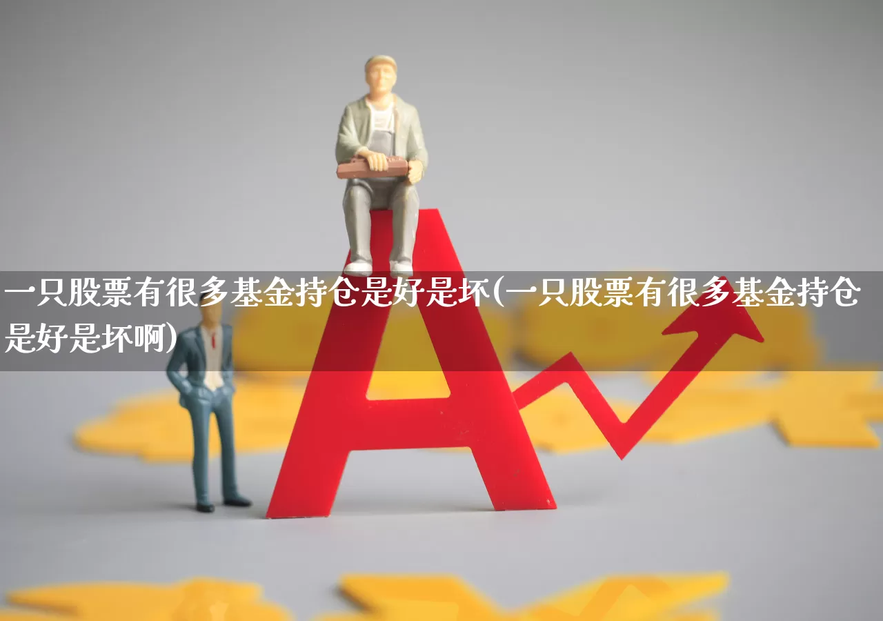 一只股票有很多基金持仓是好是坏(一只股票有很多基金持仓是好是坏啊)_https://www.syklpowerbike.com_北交所_第1张