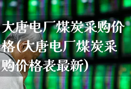 大唐电厂煤炭采购价格(大唐电厂煤炭采购价格表最新)_https://www.syklpowerbike.com_深交所_第1张