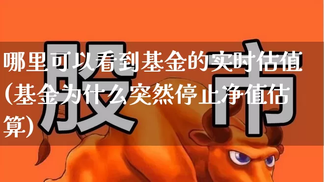 哪里可以看到基金的实时估值(基金为什么突然停止净值估算)_https://www.syklpowerbike.com_科创板_第1张