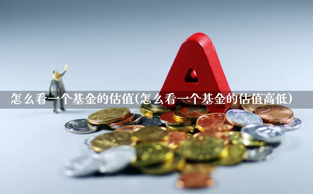 怎么看一个基金的估值(怎么看一个基金的估值高低)_https://www.syklpowerbike.com_北交所_第1张