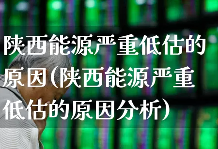 陕西能源严重低估的原因(陕西能源严重低估的原因分析)_https://www.syklpowerbike.com_创业板_第1张