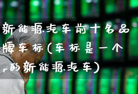 新能源汽车前十名品牌车标(车标是一个r的新能源汽车)_https://www.syklpowerbike.com_创业板_第1张