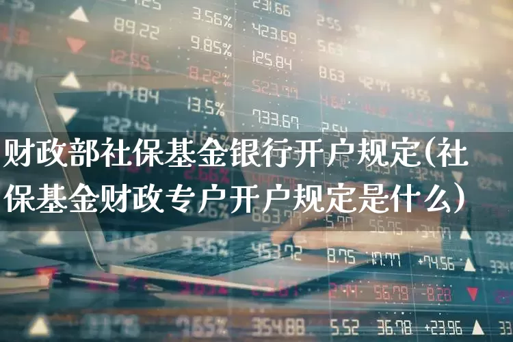 财政部社保基金银行开户规定(社保基金财政专户开户规定是什么)_https://www.syklpowerbike.com_科创板_第1张