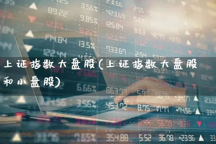 上证指数大盘股(上证指数大盘股和小盘股)_https://www.syklpowerbike.com_深交所_第1张