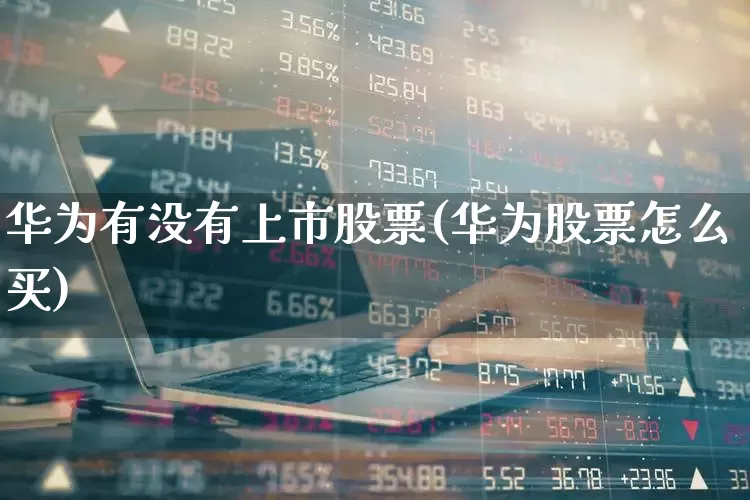 华为有没有上市股票(华为股票怎么买)_https://www.syklpowerbike.com_科创板_第1张