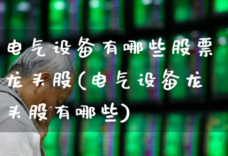 电气设备有哪些股票龙头股(电气设备龙头股有哪些)_https://www.syklpowerbike.com_科创板_第1张