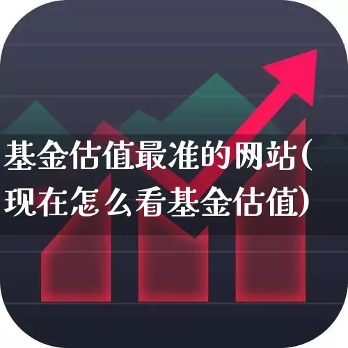 基金估值最准的网站(现在怎么看基金估值)_https://www.syklpowerbike.com_深交所_第1张