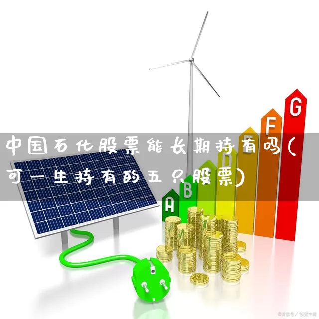 中国石化股票能长期持有吗(可一生持有的五只股票)_https://www.syklpowerbike.com_科创板_第1张