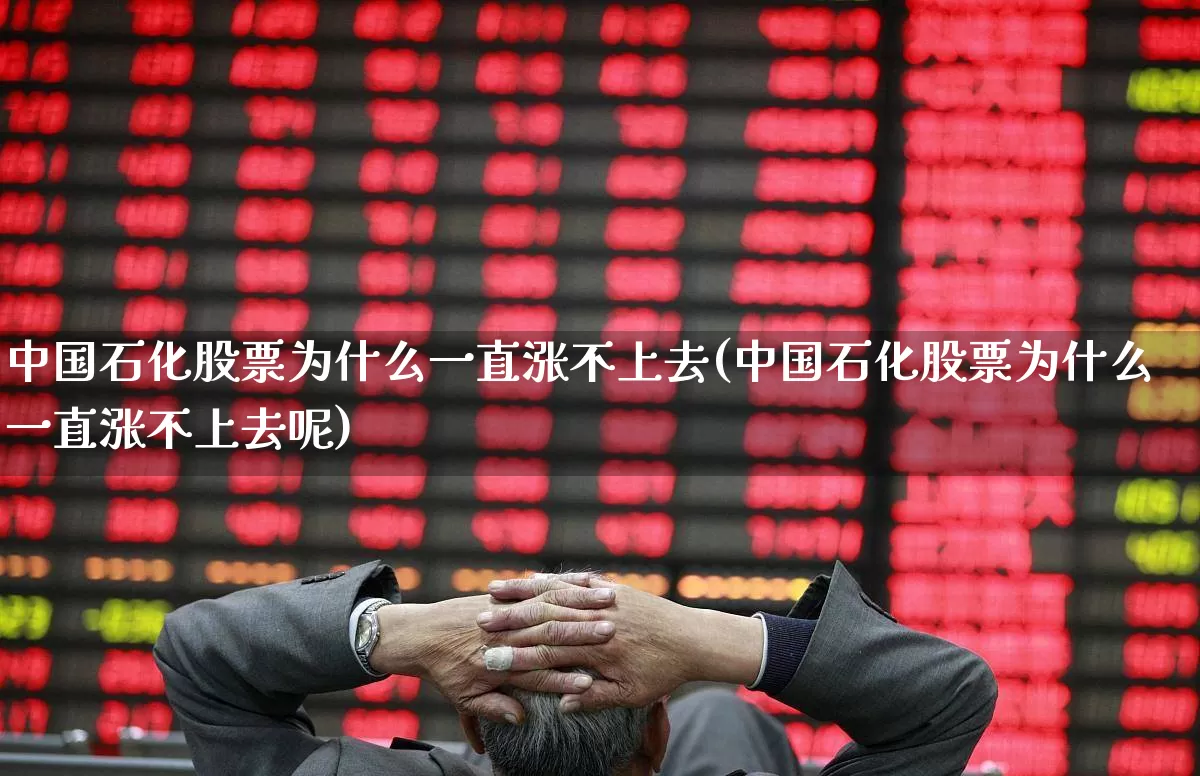 中国石化股票为什么一直涨不上去(中国石化股票为什么一直涨不上去呢)_https://www.syklpowerbike.com_科创板_第1张