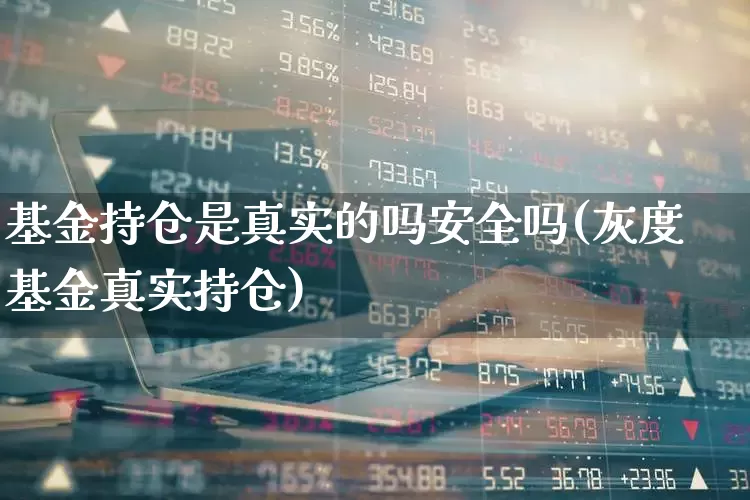 基金持仓是真实的吗安全吗(灰度基金真实持仓)_https://www.syklpowerbike.com_科创板_第1张
