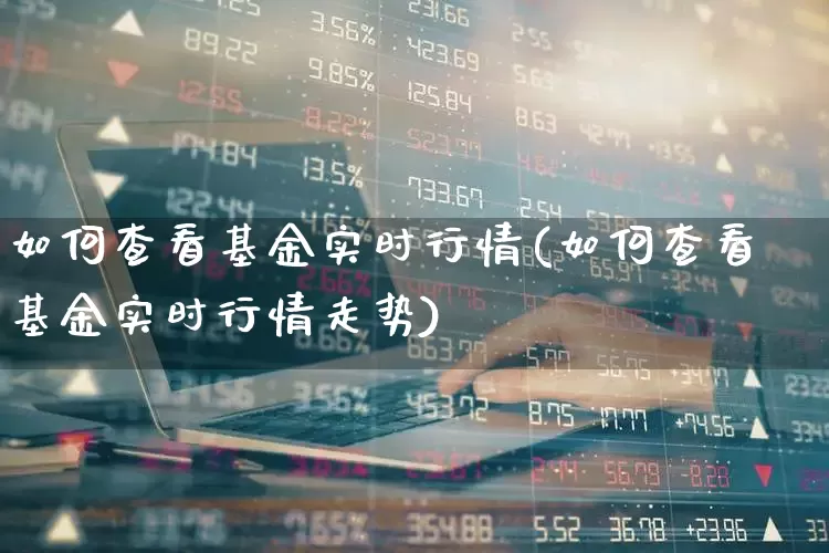 如何查看基金实时行情(如何查看基金实时行情走势)_https://www.syklpowerbike.com_创业板_第1张