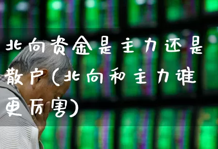 北向资金是主力还是散户(北向和主力谁更厉害)_https://www.syklpowerbike.com_创业板_第1张