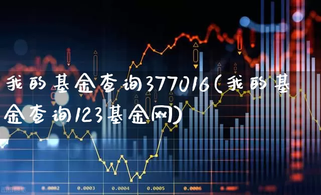 我的基金查询377016(我的基金查询123基金网)_https://www.syklpowerbike.com_北交所_第1张