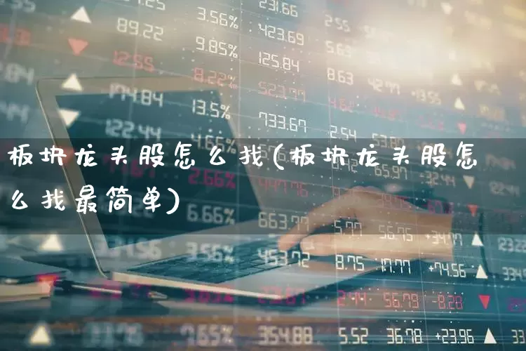 板块龙头股怎么找(板块龙头股怎么找最简单)_https://www.syklpowerbike.com_上交所_第1张
