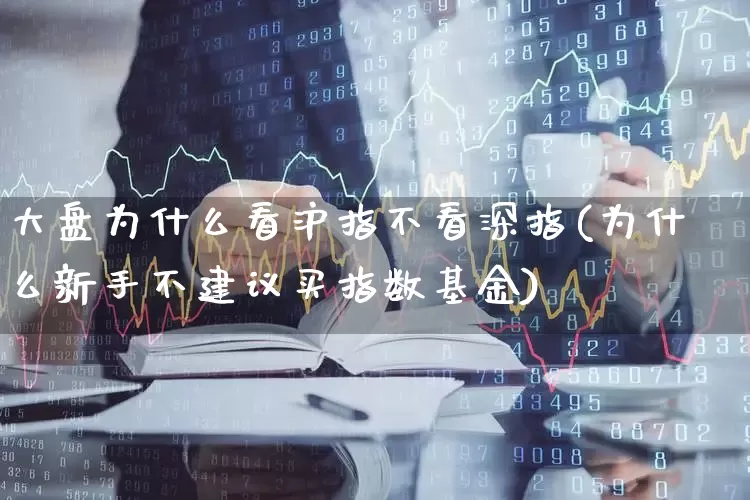 大盘为什么看沪指不看深指(为什么新手不建议买指数基金)_https://www.syklpowerbike.com_创业板_第1张