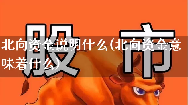 北向资金说明什么(北向资金意味着什么)_https://www.syklpowerbike.com_北交所_第1张