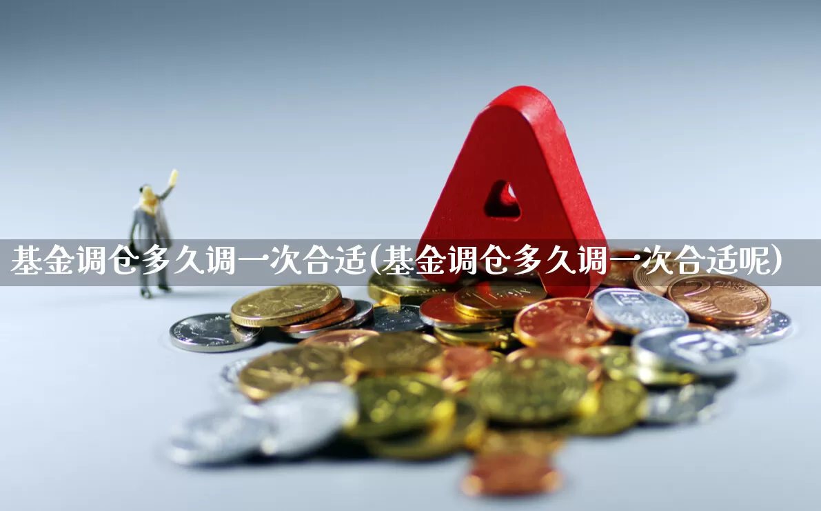 基金调仓多久调一次合适(基金调仓多久调一次合适呢)_https://www.syklpowerbike.com_创业板_第1张