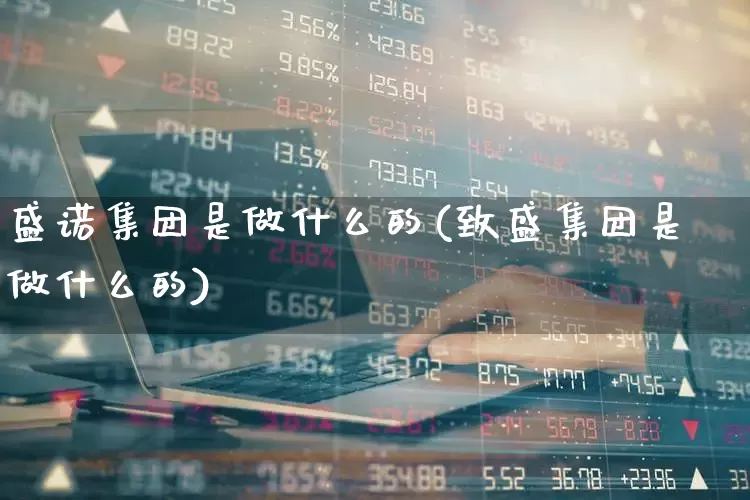盛诺集团是做什么的(致盛集团是做什么的)_https://www.syklpowerbike.com_科创板_第1张