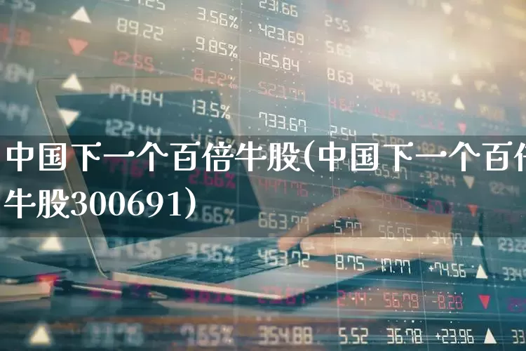 中国下一个百倍牛股(中国下一个百倍牛股300691)_https://www.syklpowerbike.com_北交所_第1张