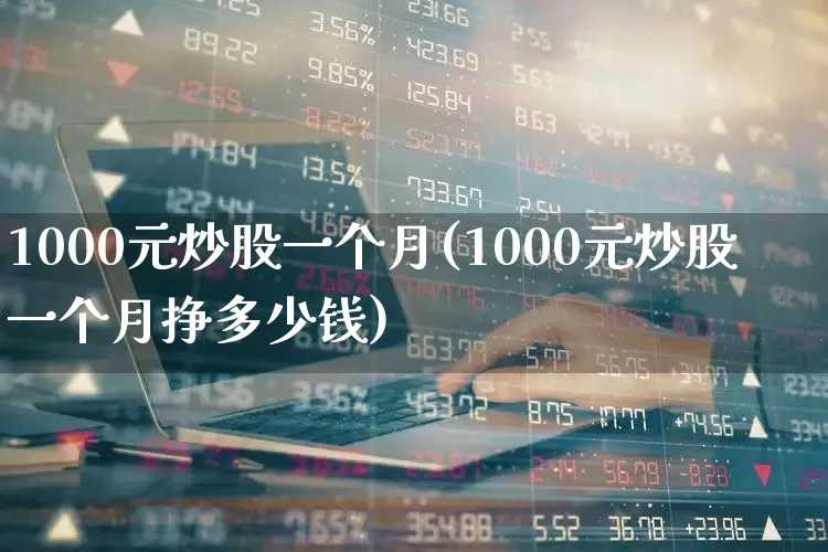 1000元炒股一个月(1000元炒股一个月挣多少钱)_https://www.syklpowerbike.com_科创板_第1张