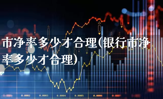市净率多少才合理(银行市净率多少才合理)_https://www.syklpowerbike.com_北交所_第1张