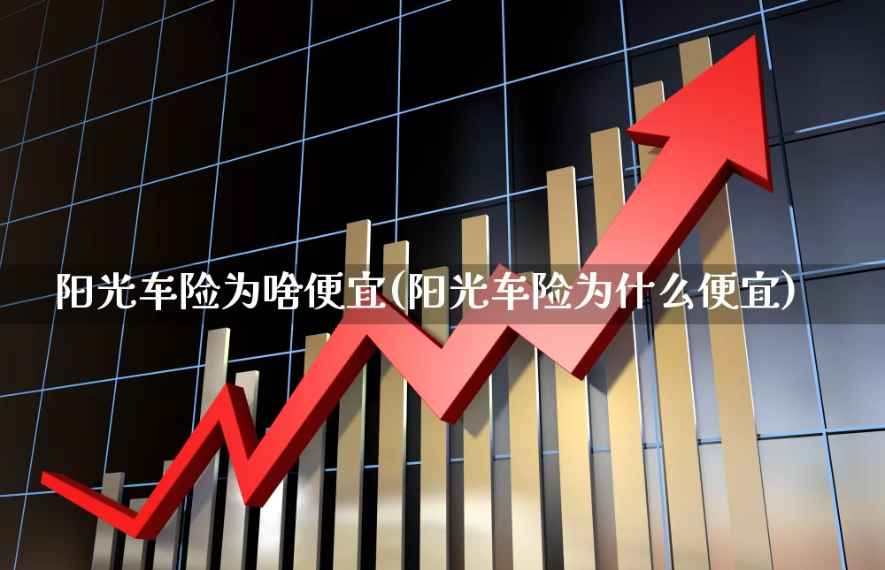 阳光车险为啥便宜(阳光车险为什么便宜)_https://www.syklpowerbike.com_深交所_第1张