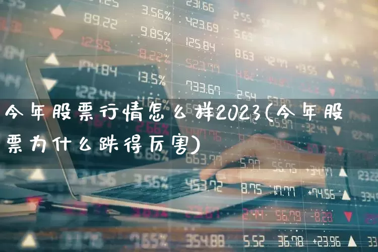 今年股票行情怎么样2023(今年股票为什么跌得厉害)_https://www.syklpowerbike.com_深交所_第1张