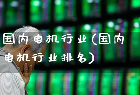 国内电机行业(国内电机行业排名)_https://www.syklpowerbike.com_北交所_第1张